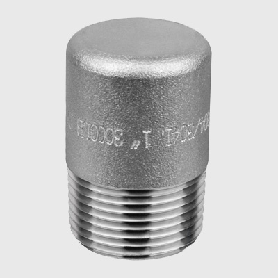 Duplex Steel Forged Plug