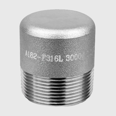 Stainless Steel Threaded Plug